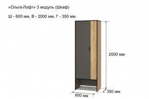 ОЛЬГА-ЛОФТ 3 Шкаф 2-х створчатый в Копейске - kopejsk.ok-mebel.com | фото 4