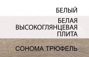 Шкаф 2D/TYP 20A, LINATE ,цвет белый/сонома трюфель в Копейске - kopejsk.ok-mebel.com | фото 4