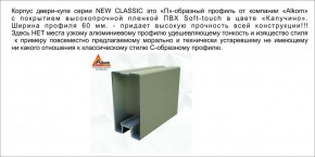 Шкаф-купе 1500 серии NEW CLASSIC K2+K2+B2+PL2(2 ящика+1 штанга+1 полка) профиль «Капучино» в Копейске - kopejsk.ok-mebel.com | фото 17