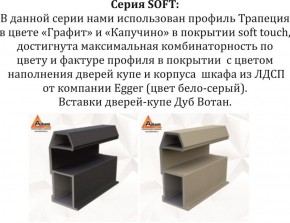 Шкаф-купе 1800 серии SOFT D1+D3+B2+PL1 (2 ящика+1штанга) профиль «Графит» в Копейске - kopejsk.ok-mebel.com | фото 11