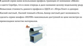 Шкаф-купе 2250 серии SILVER S3+S1+S3Z B22+PL2 (по 2 ящика лев/прав+1штанга+1 полка) профиль «Серебро» в Копейске - kopejsk.ok-mebel.com | фото 4