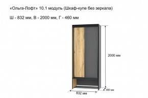 ОЛЬГА-ЛОФТ 10.1 Шкаф-купе без зеркала в Копейске - kopejsk.ok-mebel.com | фото 3