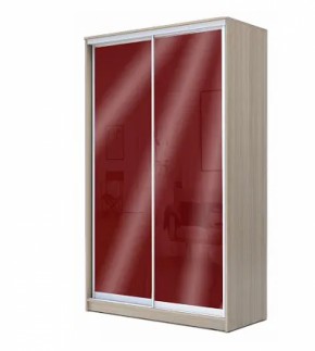Шкаф-купе ХИТ 22-17-22 (620) в Копейске - kopejsk.ok-mebel.com | фото 8