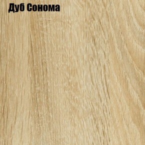 Шкаф-купе Лофт 1600 Шк16-60 (Дуб Сонома) в Копейске - kopejsk.ok-mebel.com | фото 4