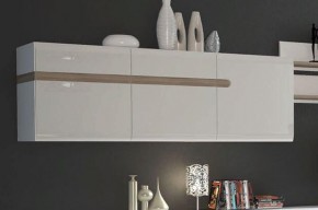 Шкаф навесной 3D/TYP 67, LINATE ,цвет белый/сонома трюфель в Копейске - kopejsk.ok-mebel.com | фото 3