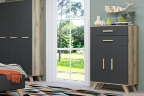 Шкаф низкий Вега Скандинавия в Копейске - kopejsk.ok-mebel.com | фото 8