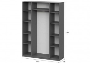 Шкаф платяной Даиго в Копейске - kopejsk.ok-mebel.com | фото 3