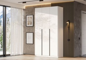 Шкаф платяной Даиго в Копейске - kopejsk.ok-mebel.com | фото 3