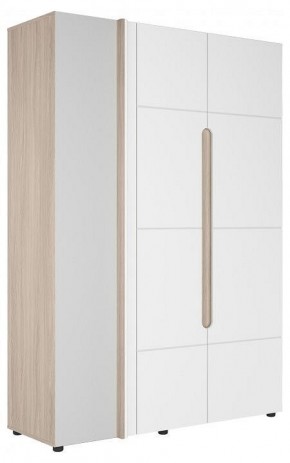 Шкаф платяной Данк в Копейске - kopejsk.ok-mebel.com | фото