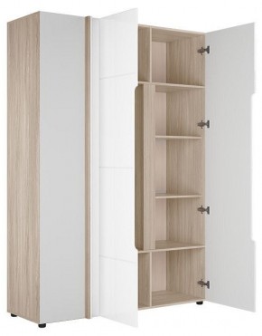 Шкаф платяной Данк в Копейске - kopejsk.ok-mebel.com | фото 2