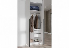 Шкаф платяной Широн в Копейске - kopejsk.ok-mebel.com | фото 3