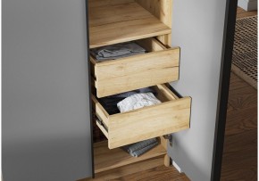 Шкаф платяной Широн в Копейске - kopejsk.ok-mebel.com | фото 3