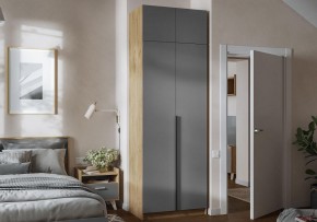 Шкаф платяной Широн в Копейске - kopejsk.ok-mebel.com | фото 4