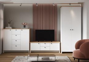 Шкаф платяной Теодора в Копейске - kopejsk.ok-mebel.com | фото 4