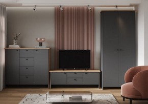 Шкаф платяной Теодора в Копейске - kopejsk.ok-mebel.com | фото 3
