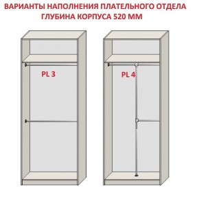 Шкаф распашной серия «ЗЕВС» (PL3/С1/PL2) в Копейске - kopejsk.ok-mebel.com | фото 10