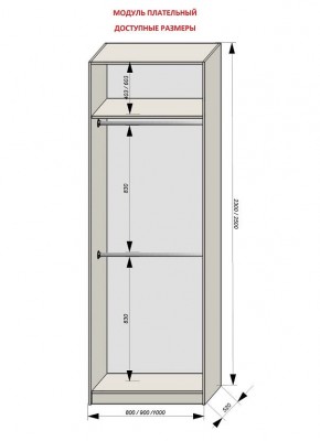 Шкаф распашной серия «ЗЕВС» (PL3/С1/PL2) в Копейске - kopejsk.ok-mebel.com | фото 12