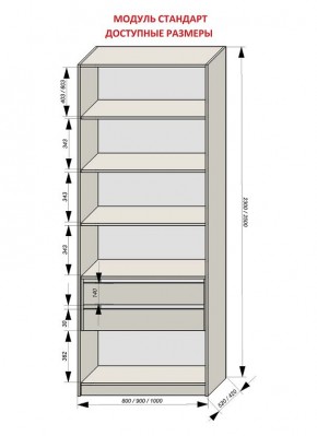 Шкаф распашной серия «ЗЕВС» (PL3/С1/PL2) в Копейске - kopejsk.ok-mebel.com | фото 13