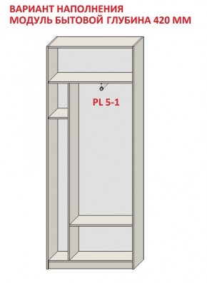 Шкаф распашной серия «ЗЕВС» (PL3/С1/PL2) в Копейске - kopejsk.ok-mebel.com | фото 4