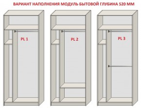 Шкаф распашной серия «ЗЕВС» (PL3/С1/PL2) в Копейске - kopejsk.ok-mebel.com | фото 5