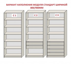 Шкаф распашной серия «ЗЕВС» (PL3/С1/PL2) в Копейске - kopejsk.ok-mebel.com | фото 6