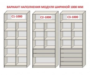 Шкаф распашной серия «ЗЕВС» (PL3/С1/PL2) в Копейске - kopejsk.ok-mebel.com | фото 7