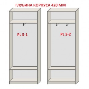 Шкаф распашной серия «ЗЕВС» (PL3/С1/PL2) в Копейске - kopejsk.ok-mebel.com | фото 8