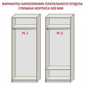 Шкаф распашной серия «ЗЕВС» (PL3/С1/PL2) в Копейске - kopejsk.ok-mebel.com | фото 9