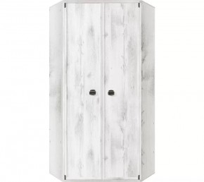Шкаф угловой JSZFN 2d (МС Индиана) сосна каньон в Копейске - kopejsk.ok-mebel.com | фото