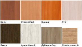 Шкаф вытяжной "Лицей" (Лц.ШКВ) в Копейске - kopejsk.ok-mebel.com | фото 2