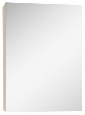 Шкаф-зеркало Мечта 40 Дуб сонома АЙСБЕРГ (DM2317HZ) в Копейске - kopejsk.ok-mebel.com | фото