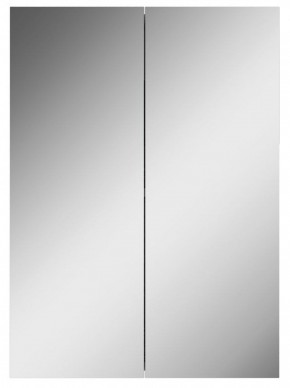 Шкаф-зеркало Норма 50 2 двери АЙСБЕРГ (DA1636HZ) в Копейске - kopejsk.ok-mebel.com | фото 4