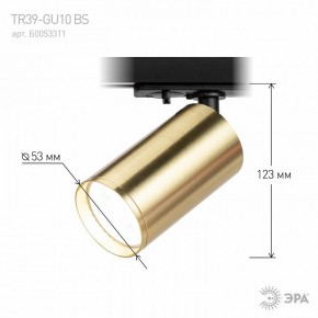 Светильник на штанге Эра  TR39-GU10 BS в Копейске - kopejsk.ok-mebel.com | фото 6