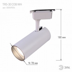 Светильник на штанге Эра  TR5-30 COB WH в Копейске - kopejsk.ok-mebel.com | фото 6
