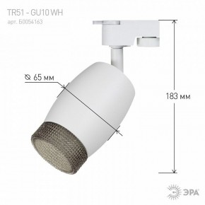 Светильник на штанге Эра  TR51 - GU10 WH в Копейске - kopejsk.ok-mebel.com | фото 4
