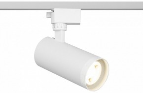 Светильник на штанге Эра  TR59 - 2040 WH в Копейске - kopejsk.ok-mebel.com | фото