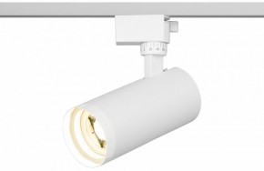 Светильник на штанге Эра  TR59 - 2040 WH в Копейске - kopejsk.ok-mebel.com | фото 5