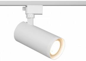 Светильник на штанге Эра  TR59 - 3030 WH в Копейске - kopejsk.ok-mebel.com | фото