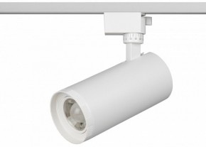 Светильник на штанге Эра  TR59 - 3030 WH в Копейске - kopejsk.ok-mebel.com | фото 2