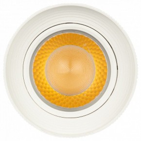 Светильник на штанге Эра  TR59 - 3030 WH в Копейске - kopejsk.ok-mebel.com | фото 3