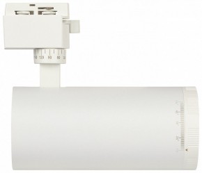 Светильник на штанге Эра  TR59 - 3030 WH в Копейске - kopejsk.ok-mebel.com | фото 4