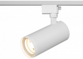 Светильник на штанге Эра  TR59 - 3030 WH в Копейске - kopejsk.ok-mebel.com | фото 5