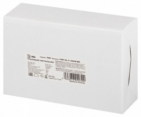 Светильник на штанге Эра  TRM-S5-3-12W4K-BK в Копейске - kopejsk.ok-mebel.com | фото 8