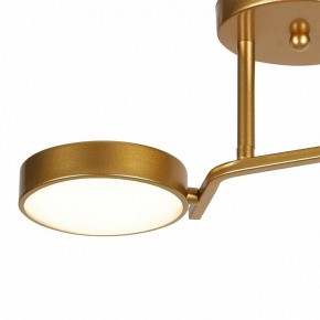 Светильник на штанге Escada Starlight 10273/2LED в Копейске - kopejsk.ok-mebel.com | фото 4