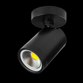 Светильник на штанге Lightstar Rullo 213407 в Копейске - kopejsk.ok-mebel.com | фото 2