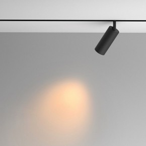 Светильник на штанге Maytoni Artisan TR097-2-12W2.7K-M-BB в Копейске - kopejsk.ok-mebel.com | фото 4