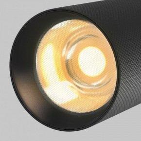 Светильник на штанге Maytoni Artisan TR097-2-12W2.7K-M-BB в Копейске - kopejsk.ok-mebel.com | фото 9
