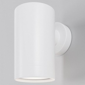 Светильник на штанге Maytoni Clyde O493WL-01W в Копейске - kopejsk.ok-mebel.com | фото
