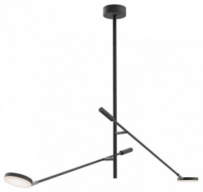 Светильник на штанге Maytoni Fad MOD070CL-L15B3K1 в Копейске - kopejsk.ok-mebel.com | фото