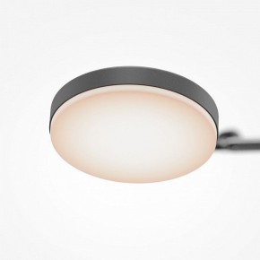 Светильник на штанге Maytoni Fad MOD070CL-L15B3K1 в Копейске - kopejsk.ok-mebel.com | фото 7